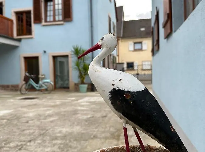 Charmant Et Chaleureux Gite Dans Le Vignoble