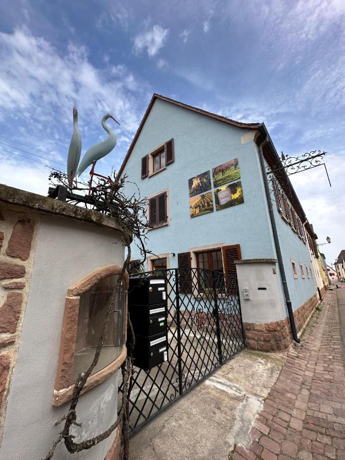 Apartment Et Chaleureux Dans Le Vignoble