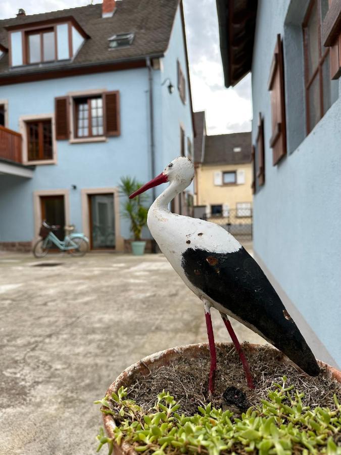 Apartment Et Chaleureux Dans Le Vignoble *